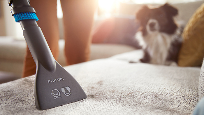 Как да почистите косми от домашни любимци с най-добра помощ