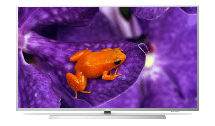 Професионален телевизор &ndash; софтуер с Android