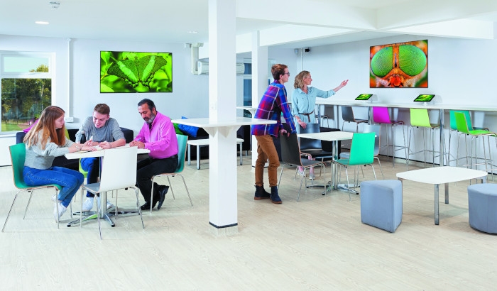 Образование